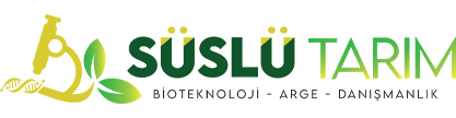 Süslü Tarım